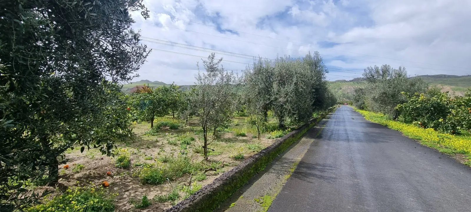 Terreno in Vendita a Paternò