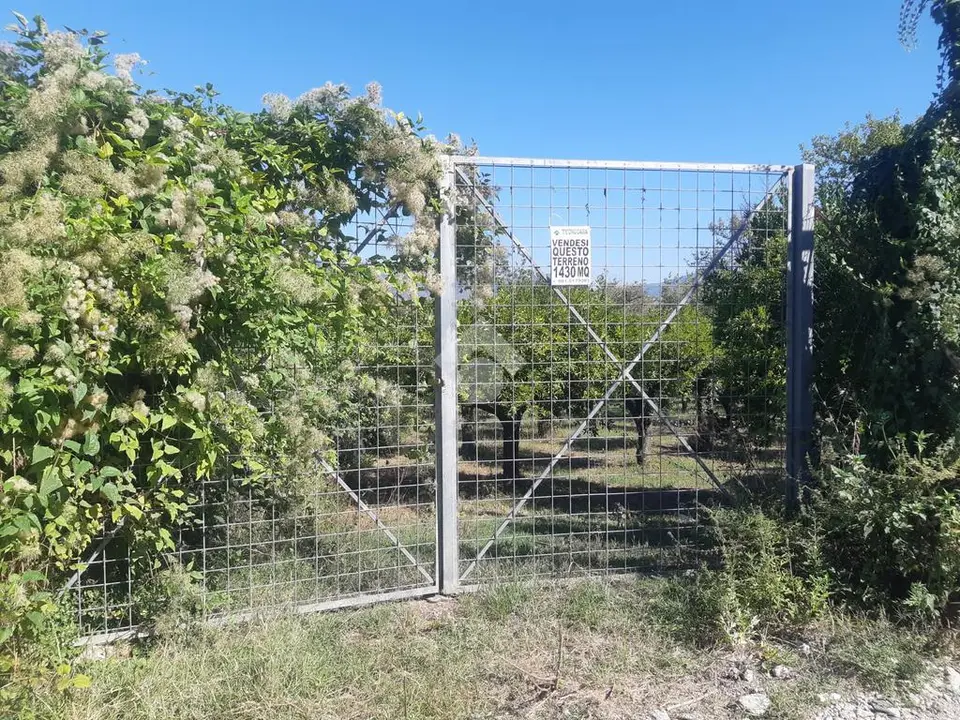 Ter. agricolo in vendita a Nocera Inferiore