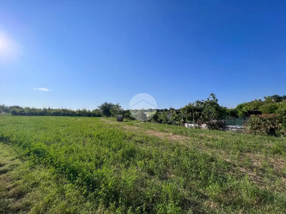 Ter. agricolo in vendita a Misano Adriatico