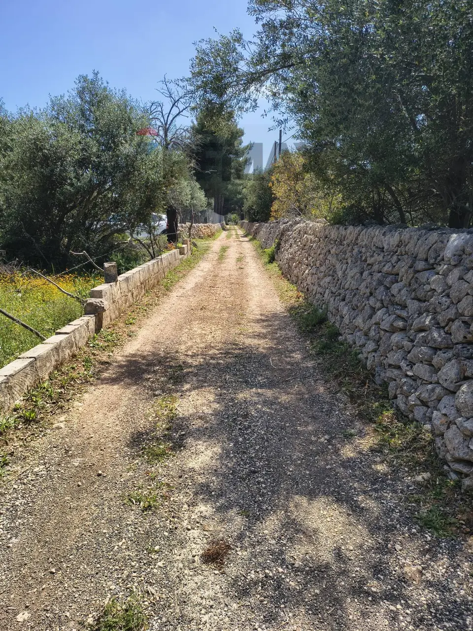 Terreno Edificabile in Vendita a Noto