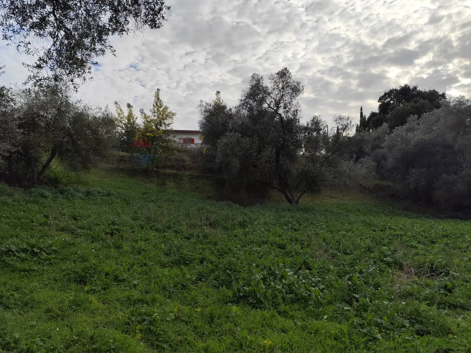 Terreno in Vendita a Aprilia