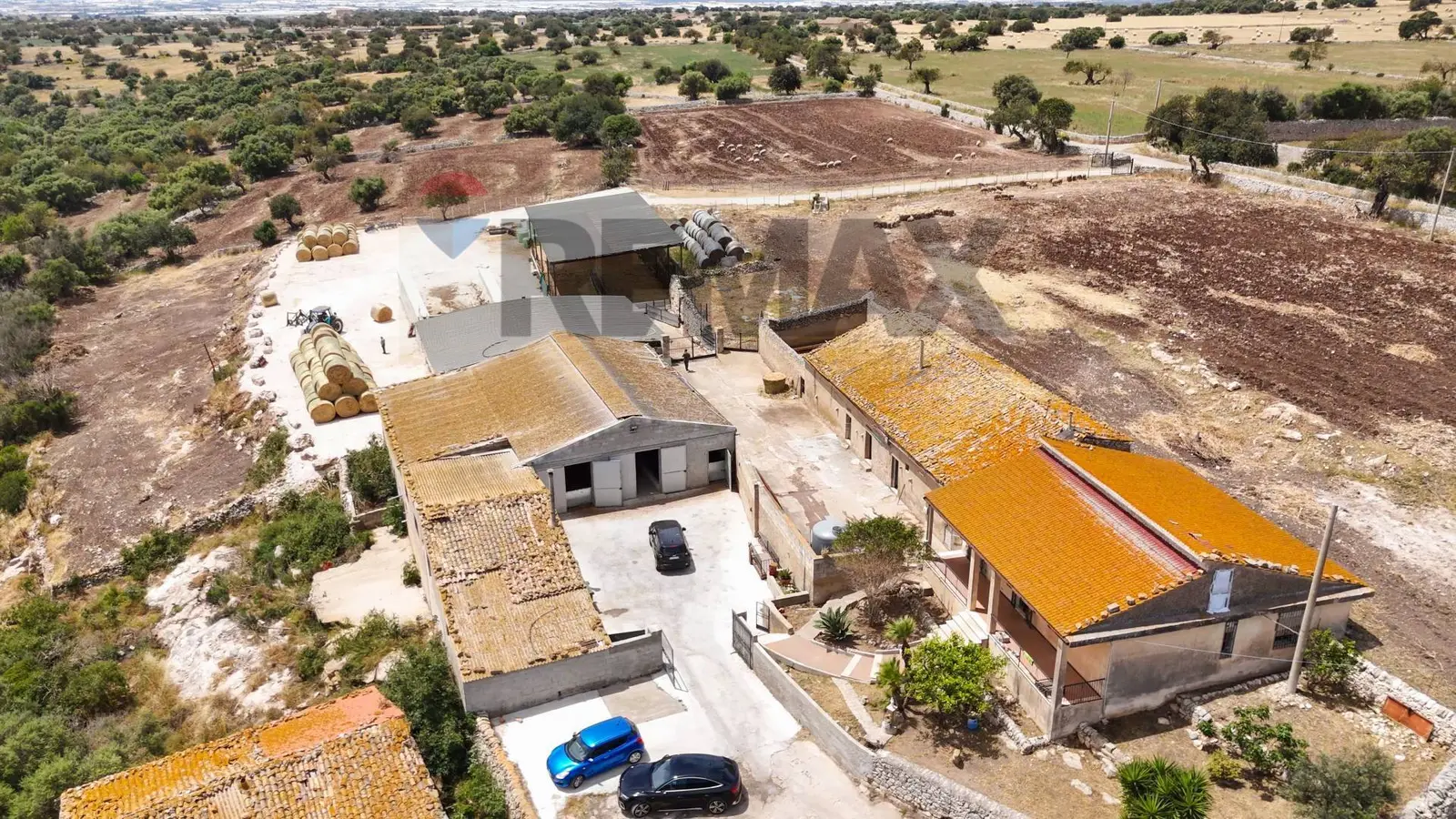 Azienda Agricola in Vendita a Ragusa