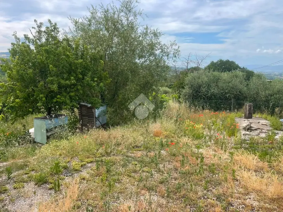 Ter. agricolo in vendita a Perugia