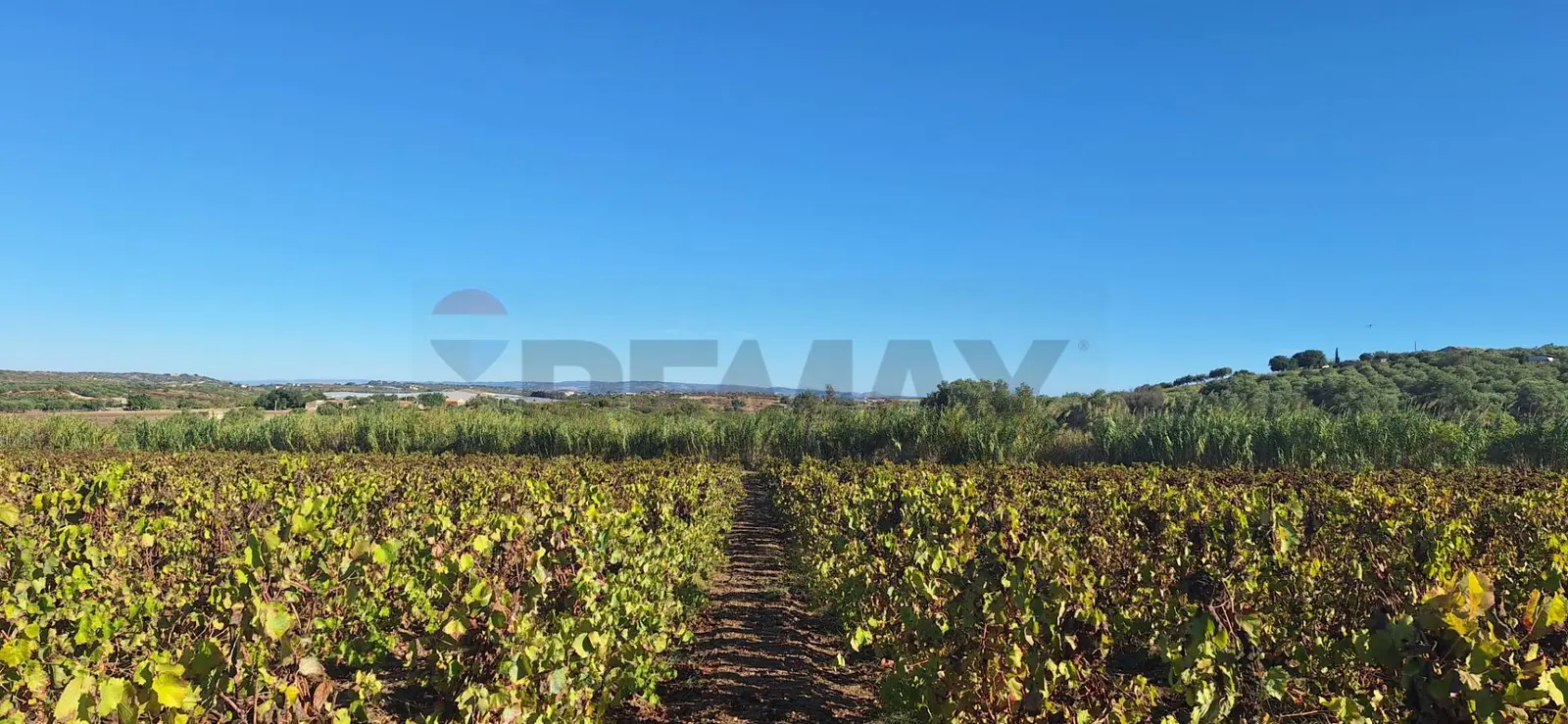Terreno in Vendita a Noto