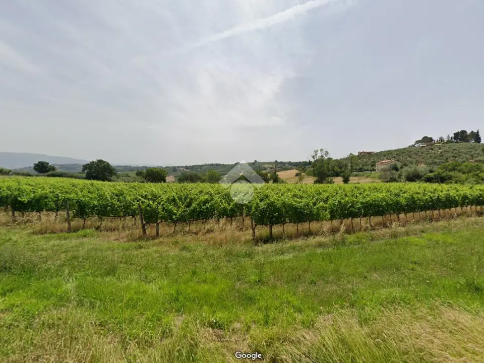 Ter. agricolo in vendita a Bevagna