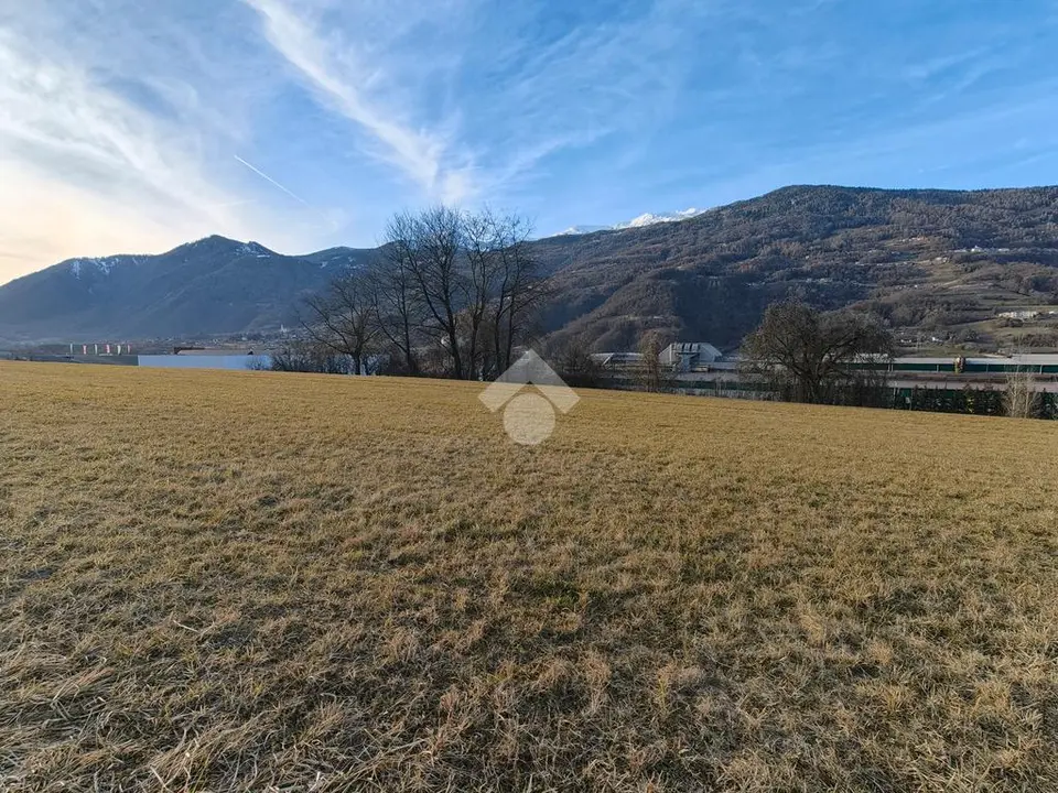 Ter. agricolo in vendita a Borgo Valsugana