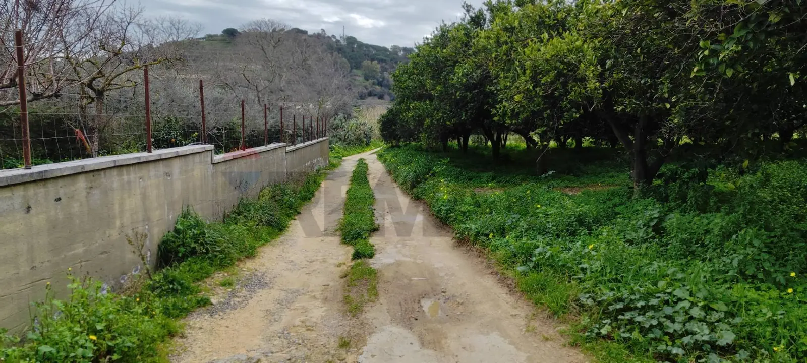 Terreno in Vendita a Grammichele