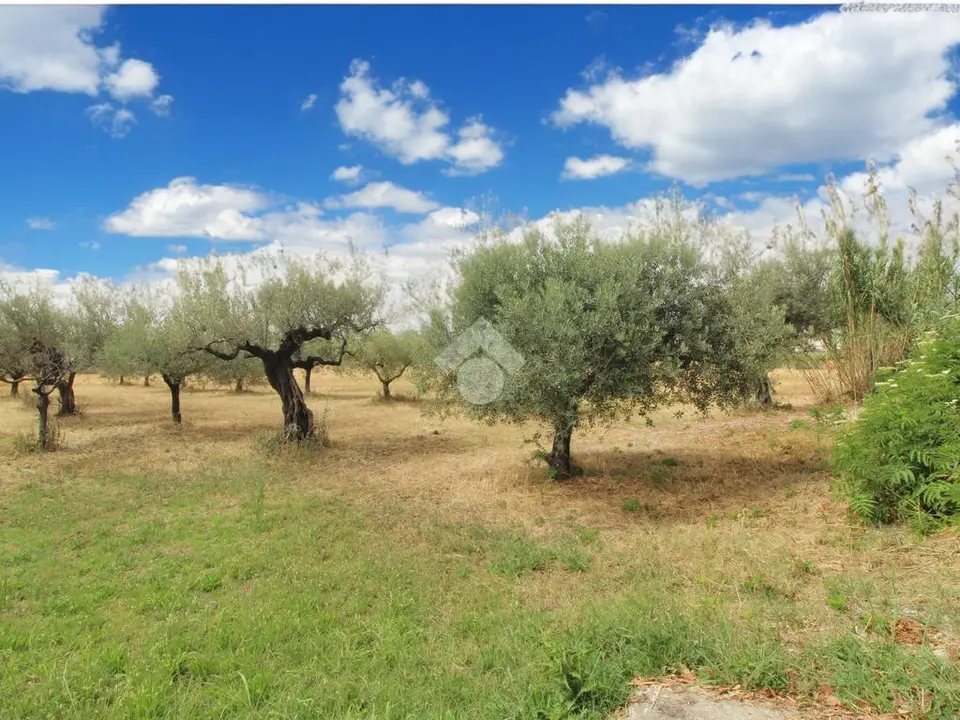 Ter. residenziale in vendita a Cepagatti