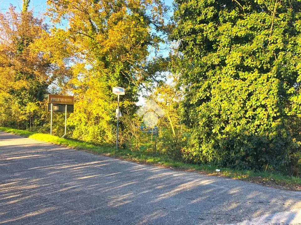 Ter. agricolo in vendita a Fauglia