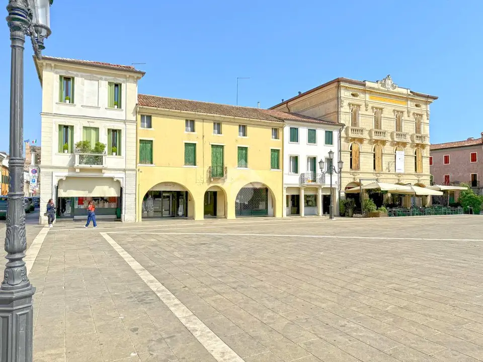 Palazzo in vendita a Cittadella