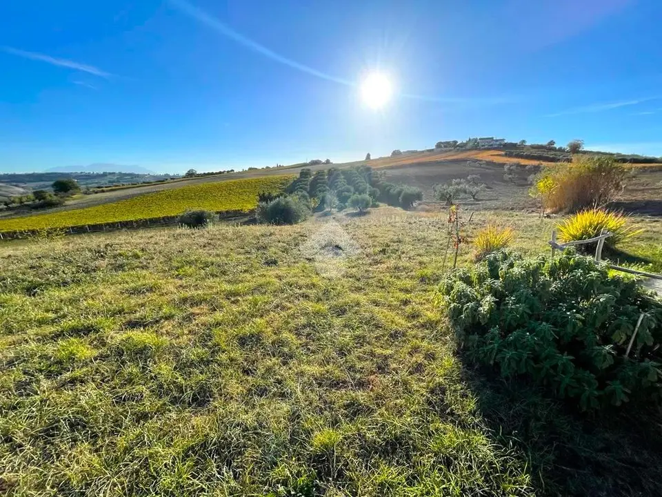 Ter. agricolo in vendita a Città Sant'Angelo
