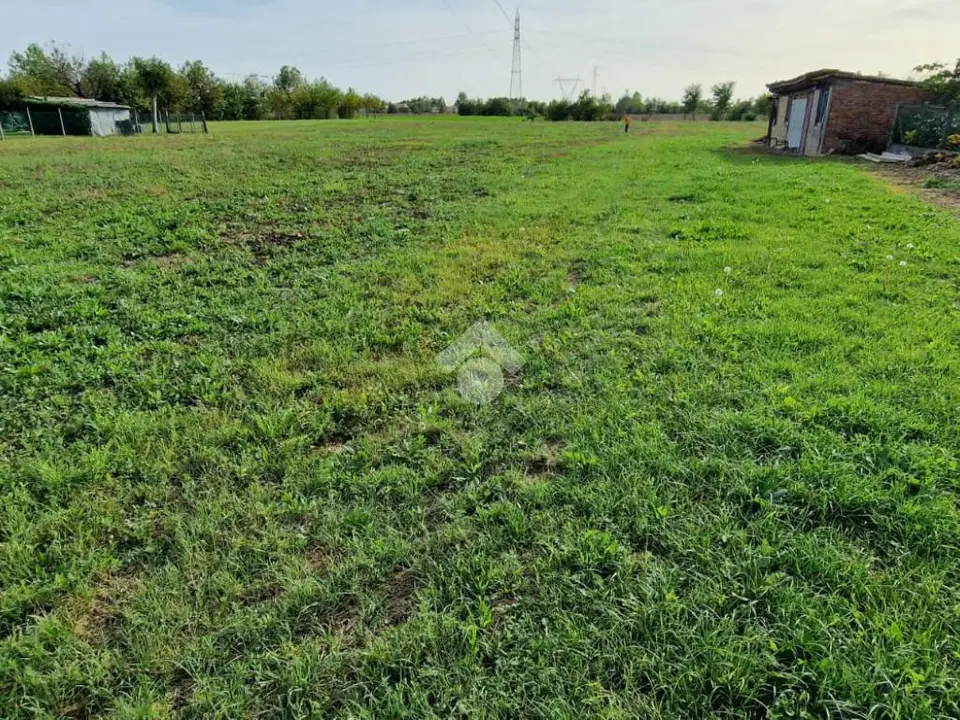 Ter. agricolo in vendita a Pianiga