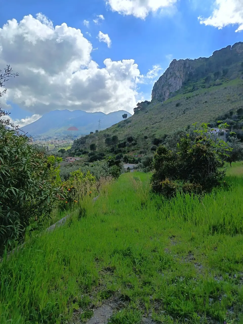 Terreno in Vendita a Carini