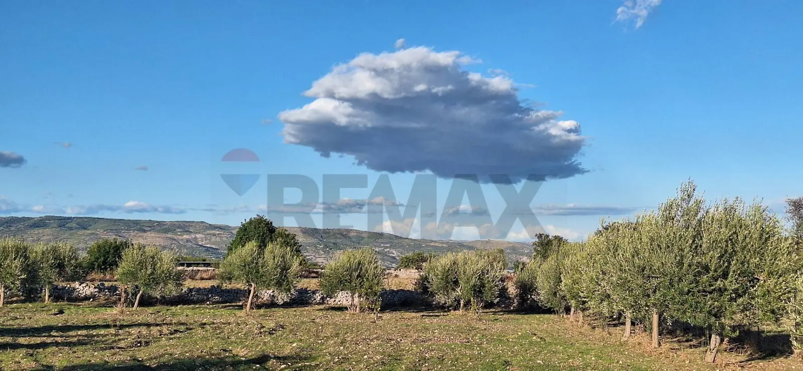 Terreno in Vendita a Rosolini