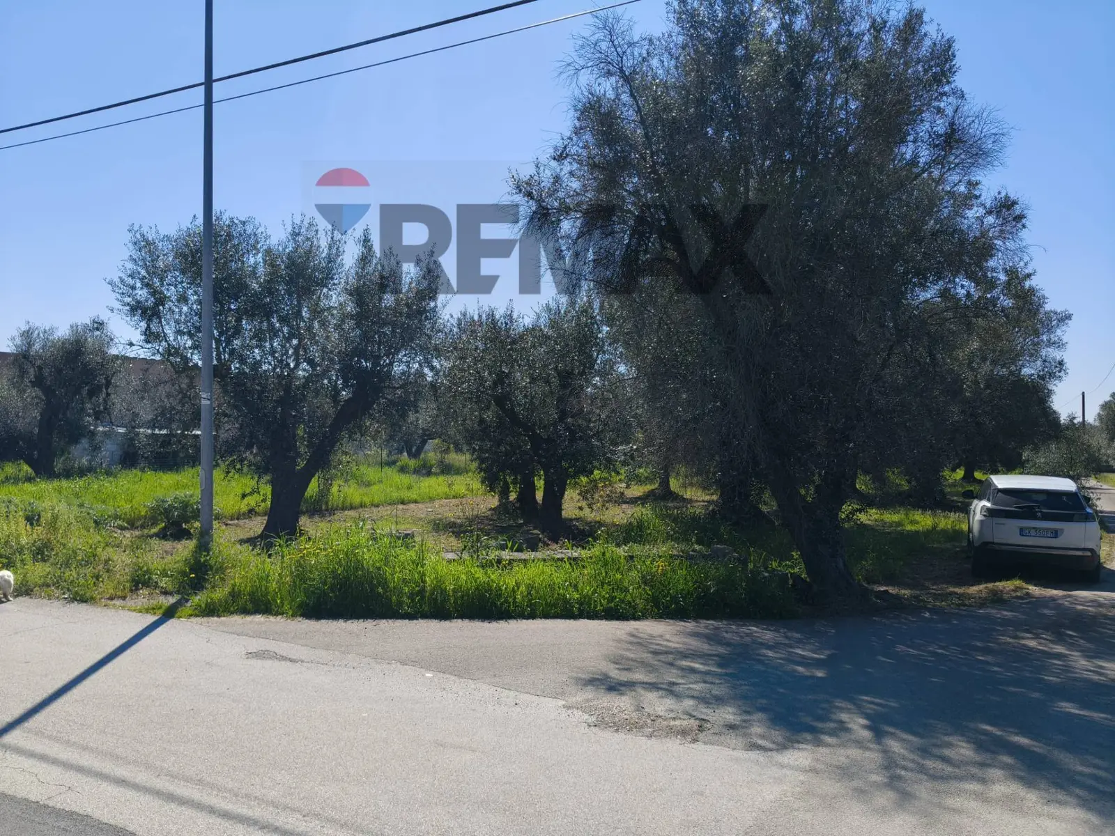 Terreno in Vendita a Monteparano