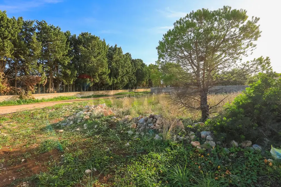 Terreno Edificabile in Vendita a Siracusa