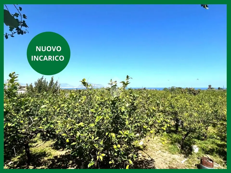 Ter. agricolo in vendita a Bagheria
