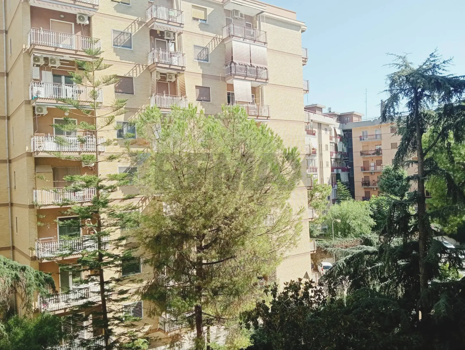 Appartamento in Affitto a Bari