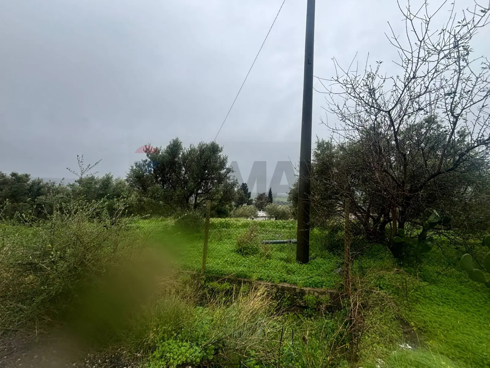 Terreno in Vendita a Carlentini