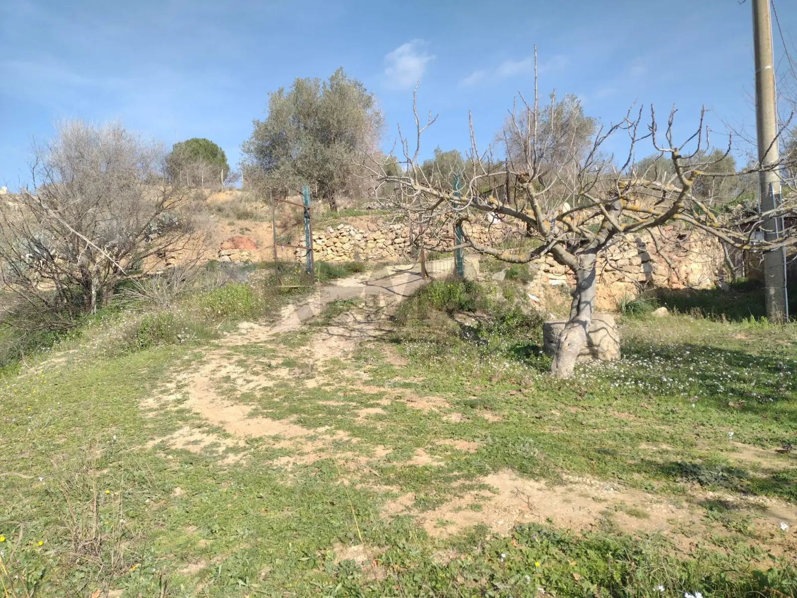 Rustico in Vendita a Piazza Armerina