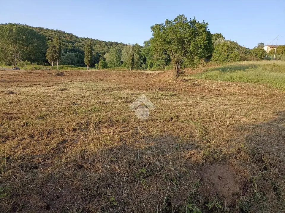 Ter. residenziale in vendita a Fauglia
