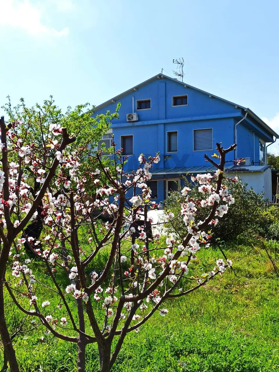 Villa singola in Vendita a Melilli
