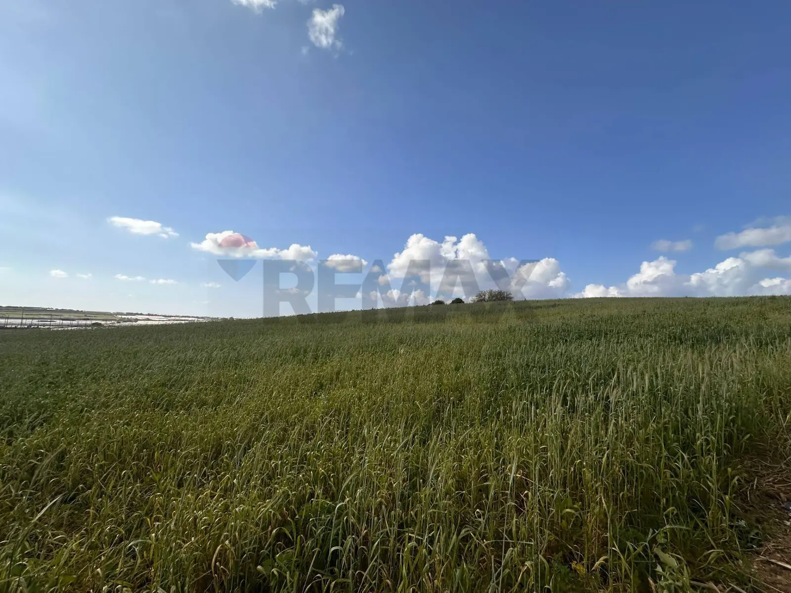 Terreno in Vendita a Pachino