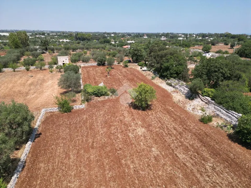 Ter. agricolo in vendita a Polignano A Mare
