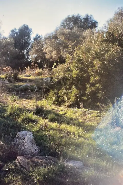 Terreno in Vendita a Siracusa