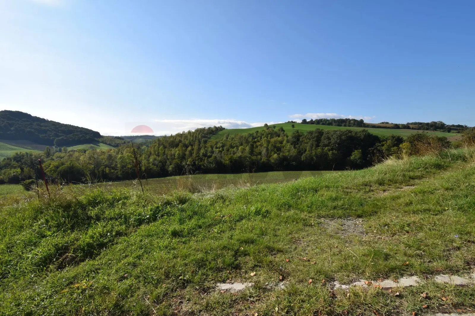 Terreno in Vendita a Sala Baganza