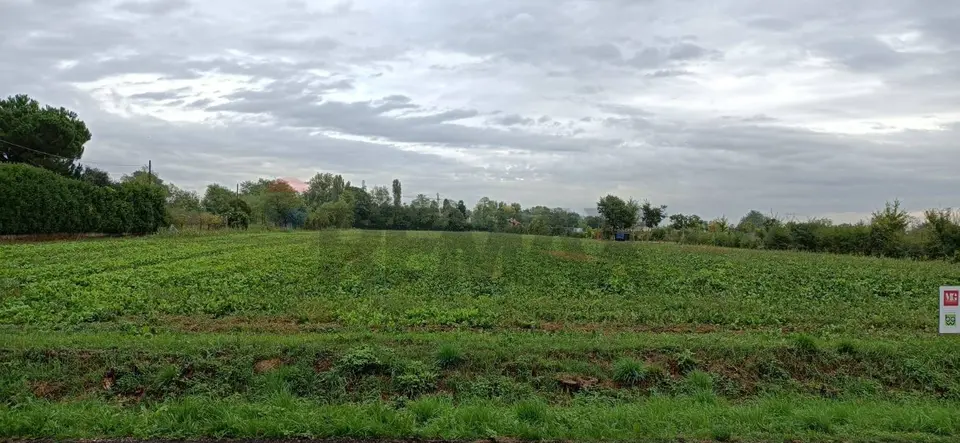 Terreno in Vendita a Ponzano Veneto