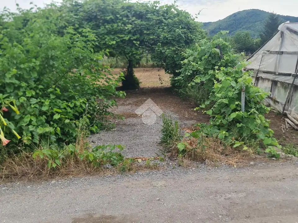 Ter. agricolo in vendita a Nocera Inferiore