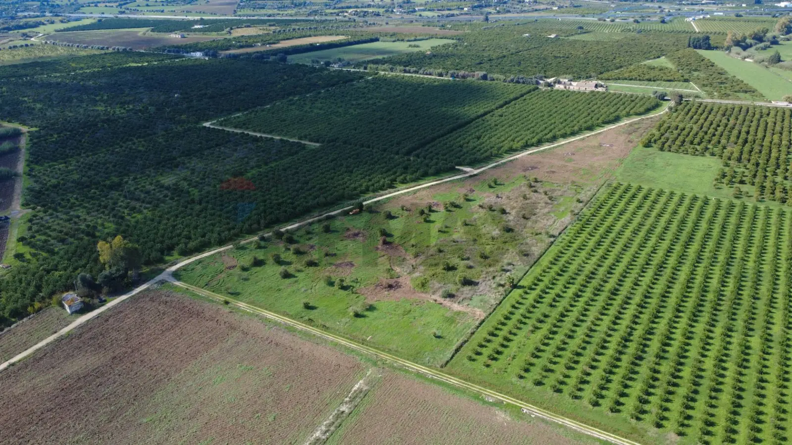 Terreno in Vendita a Siracusa