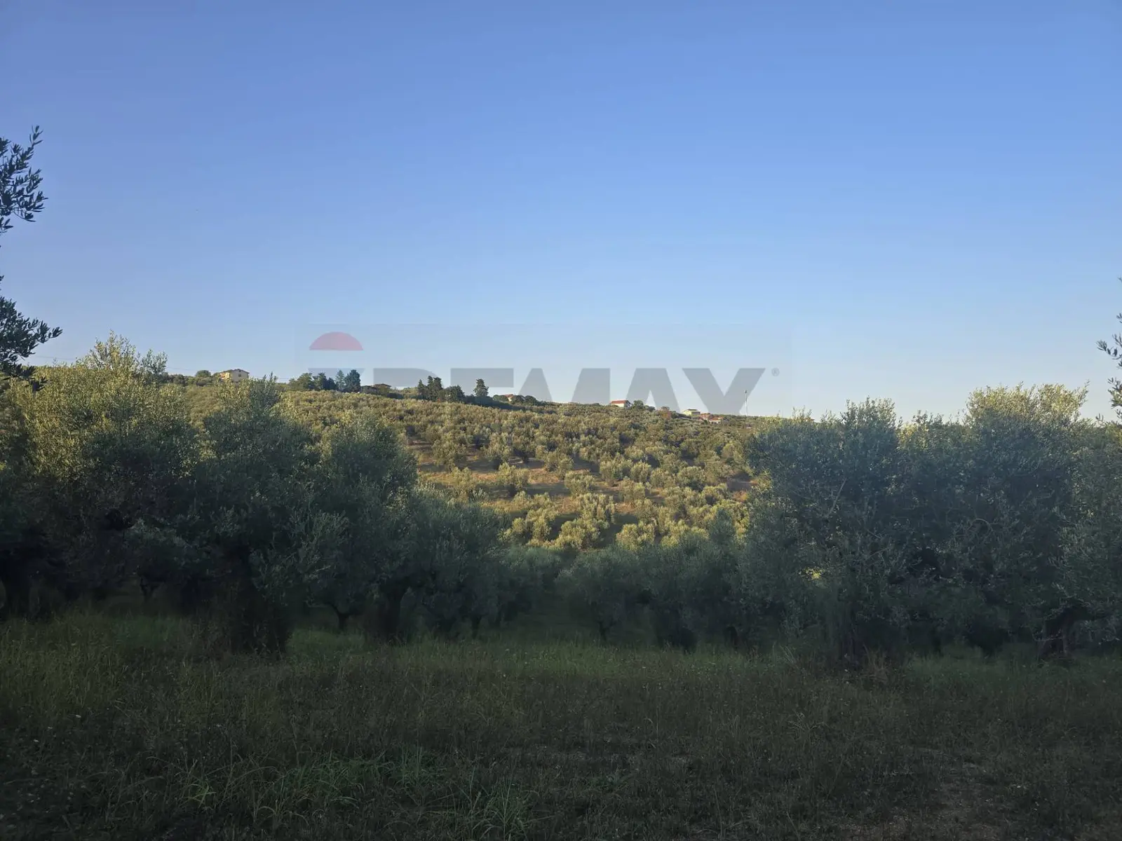 Terreno in Vendita a Moscufo