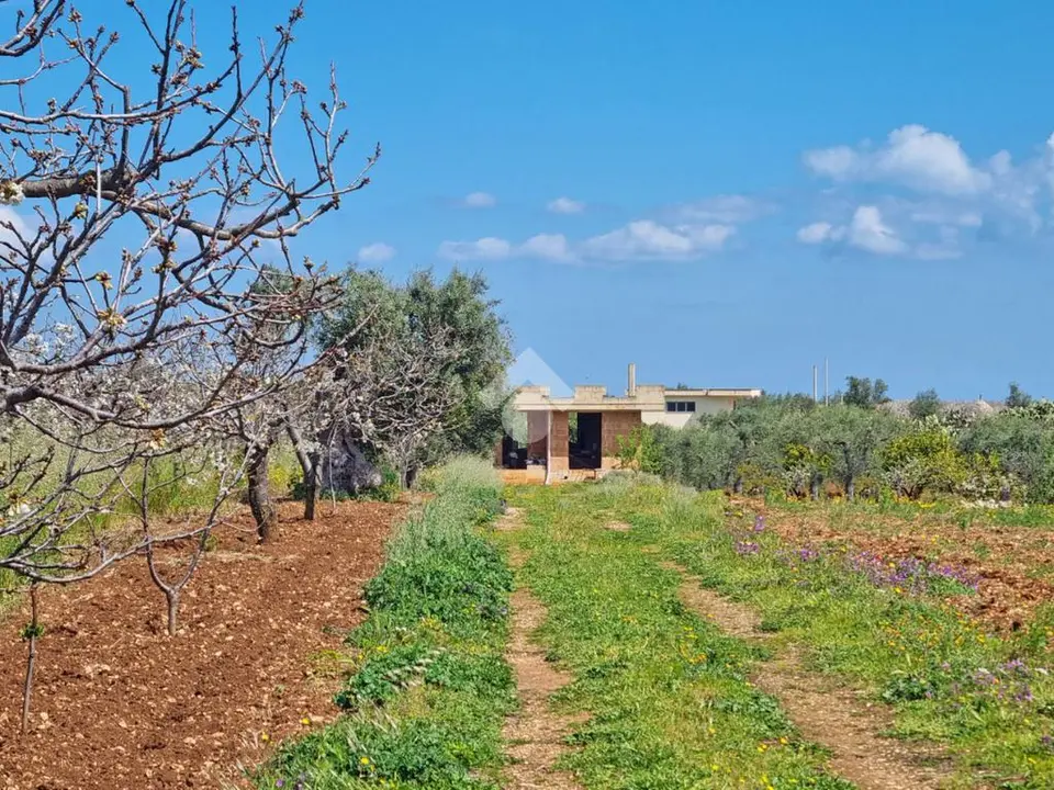 Villa singola in vendita a Conversano