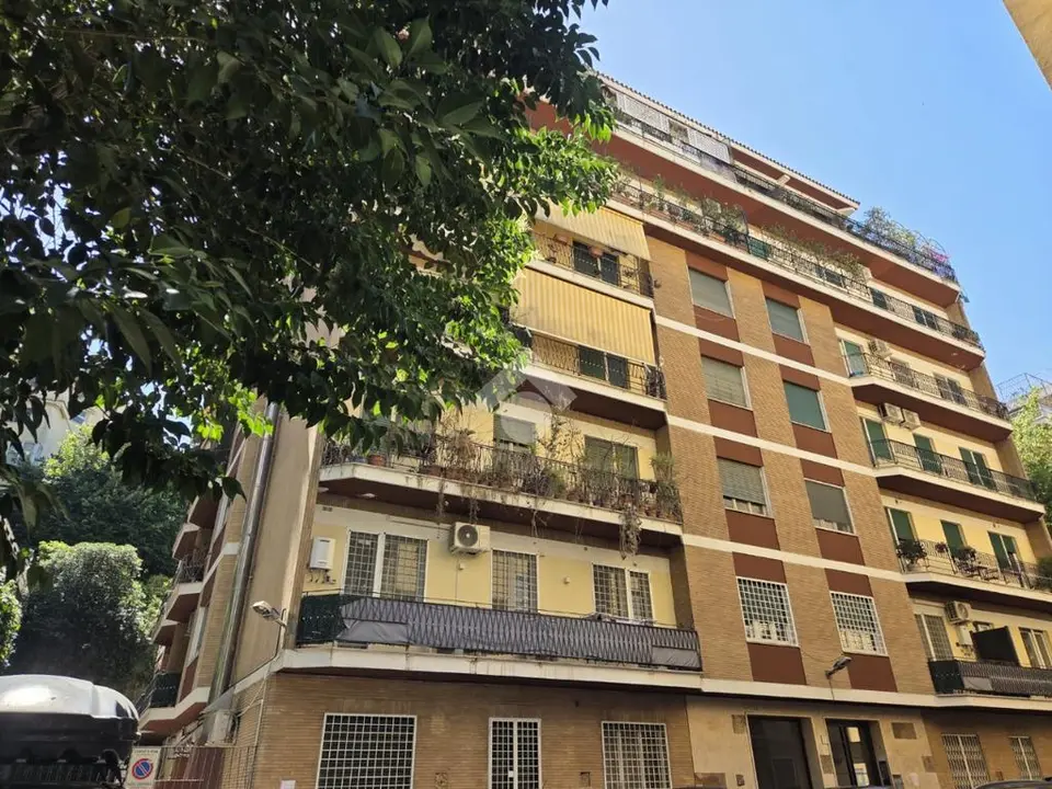 Bilocale in affitto a Roma