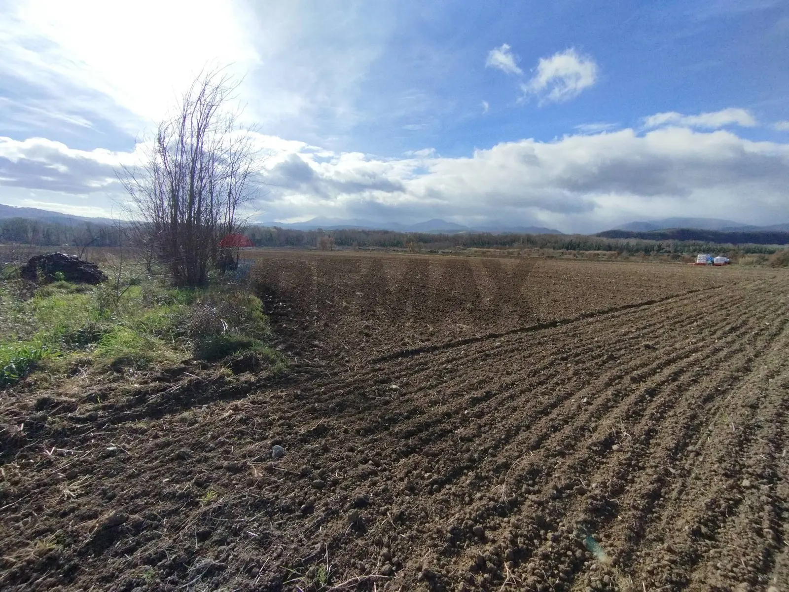 Terreno in Vendita a Roggiano Gravina