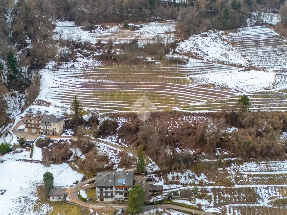 Ter. agricolo in vendita a Pergine Valsugana