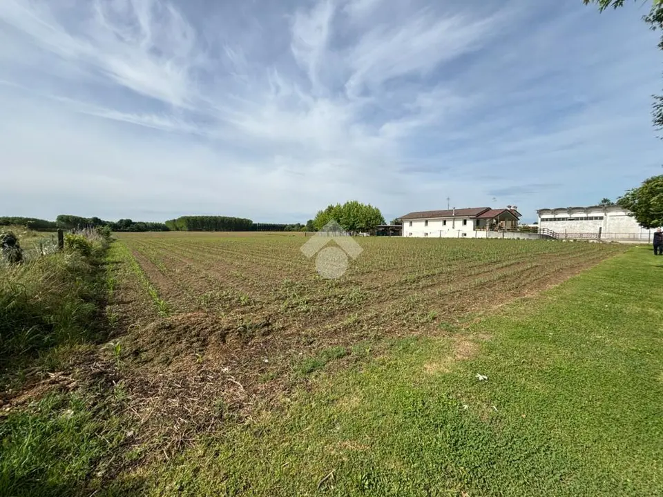 Ter. residenziale in vendita a Massanzago
