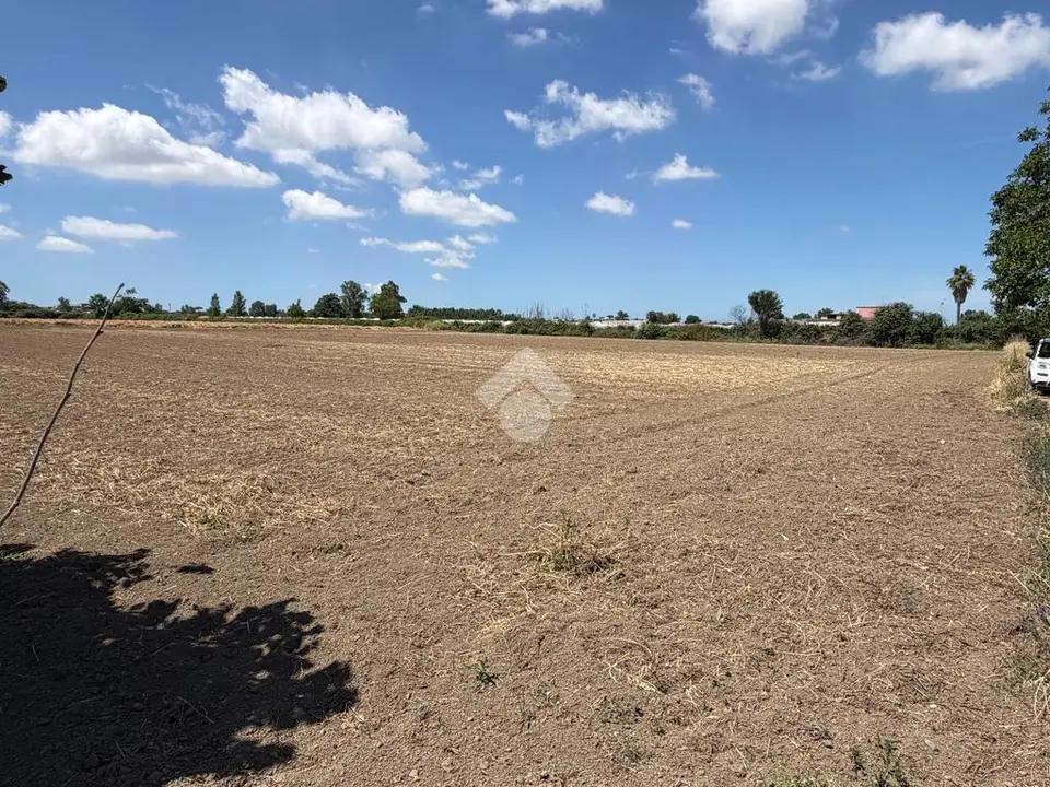 Ter. agricolo in vendita a Giugliano In Campania