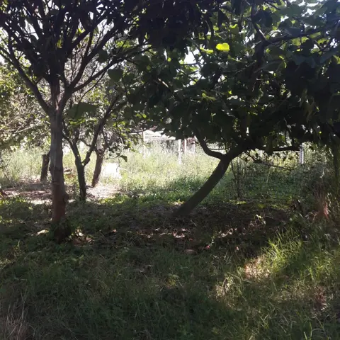 Terreno in Via Campolongo, Eboli (SA)