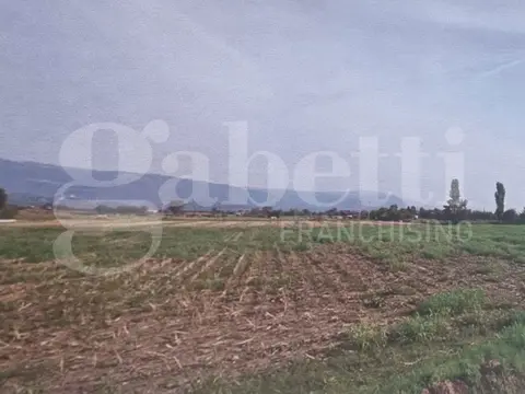 Terreno in Via Santa Romana 00, Schiavon (VI)