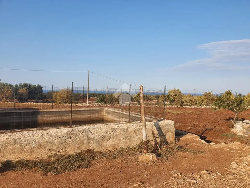 Ter. agricolo in vendita a Polignano A Mare