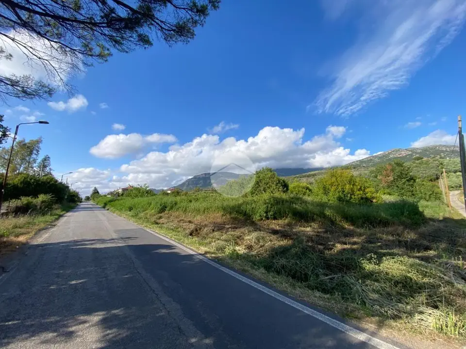 Ter. agricolo in vendita a Capaccio