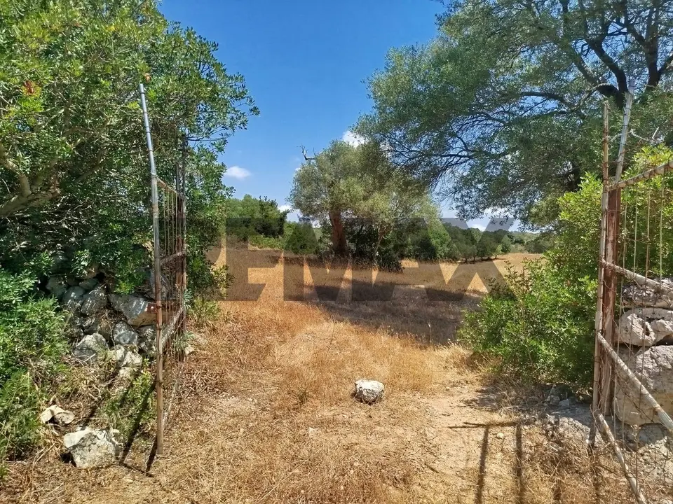 Terreno in Vendita a Noto
