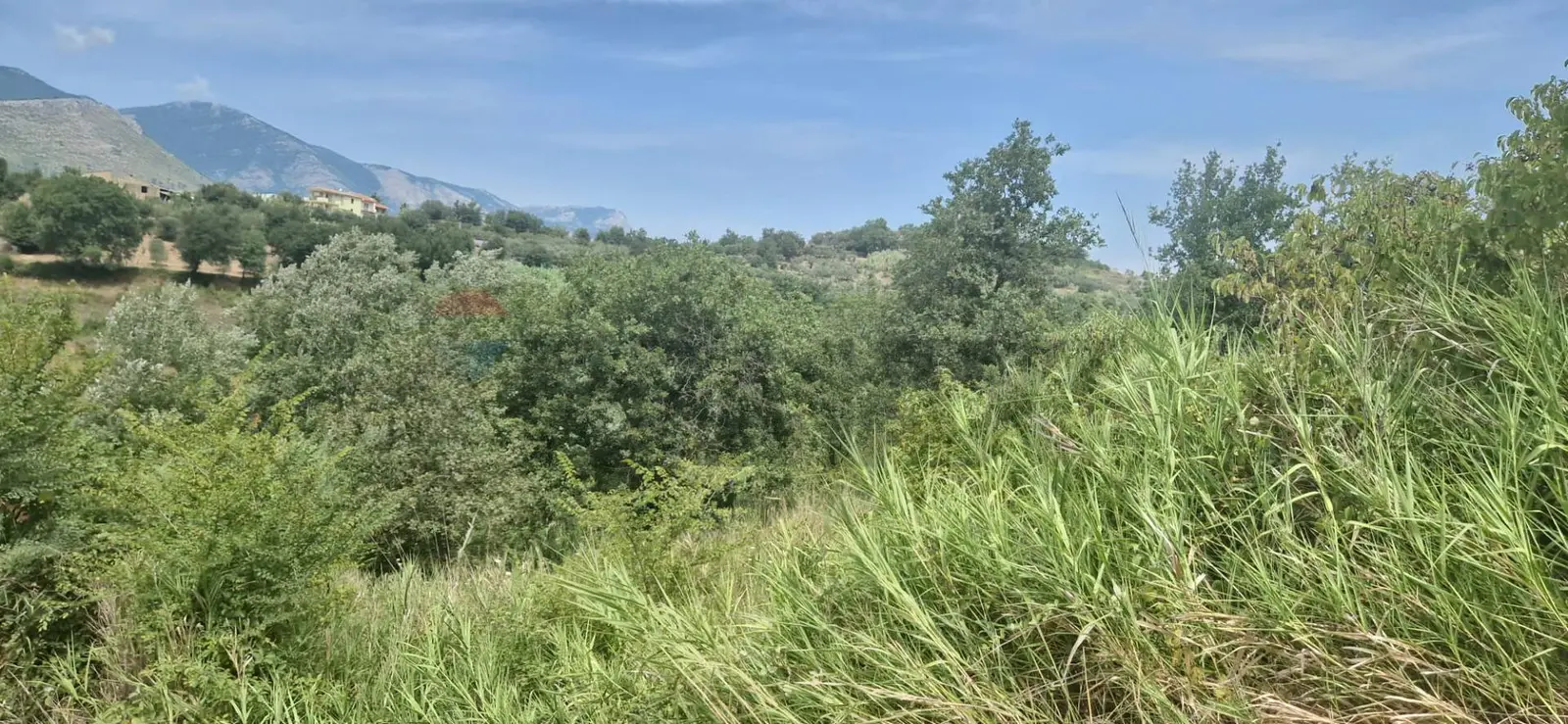 Terreno in Vendita a Minturno