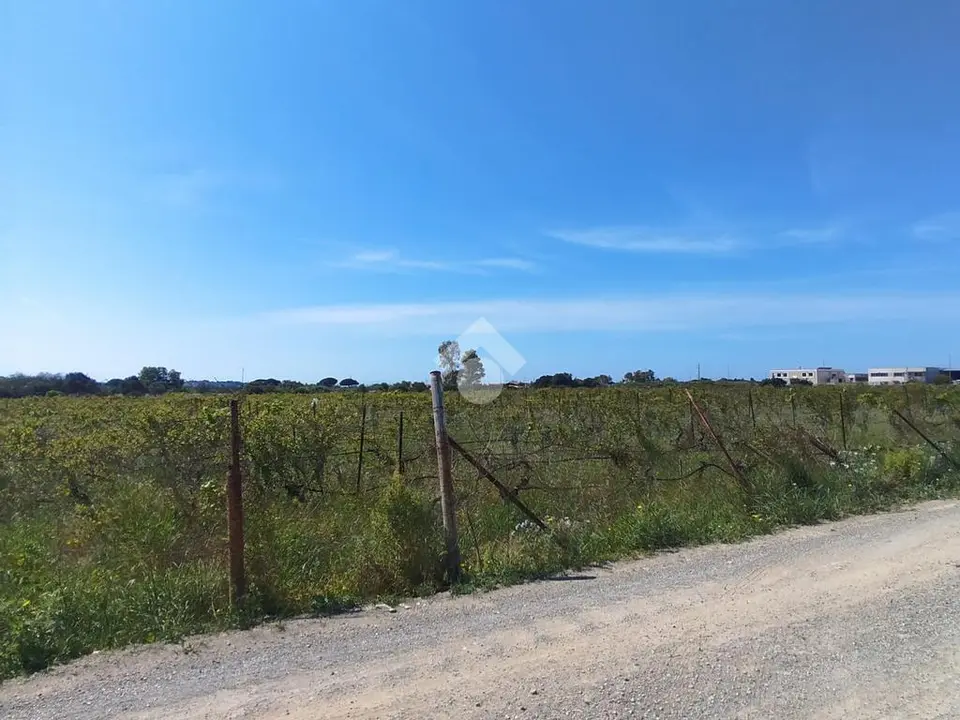 Ter. agricolo in vendita a Maracalagonis