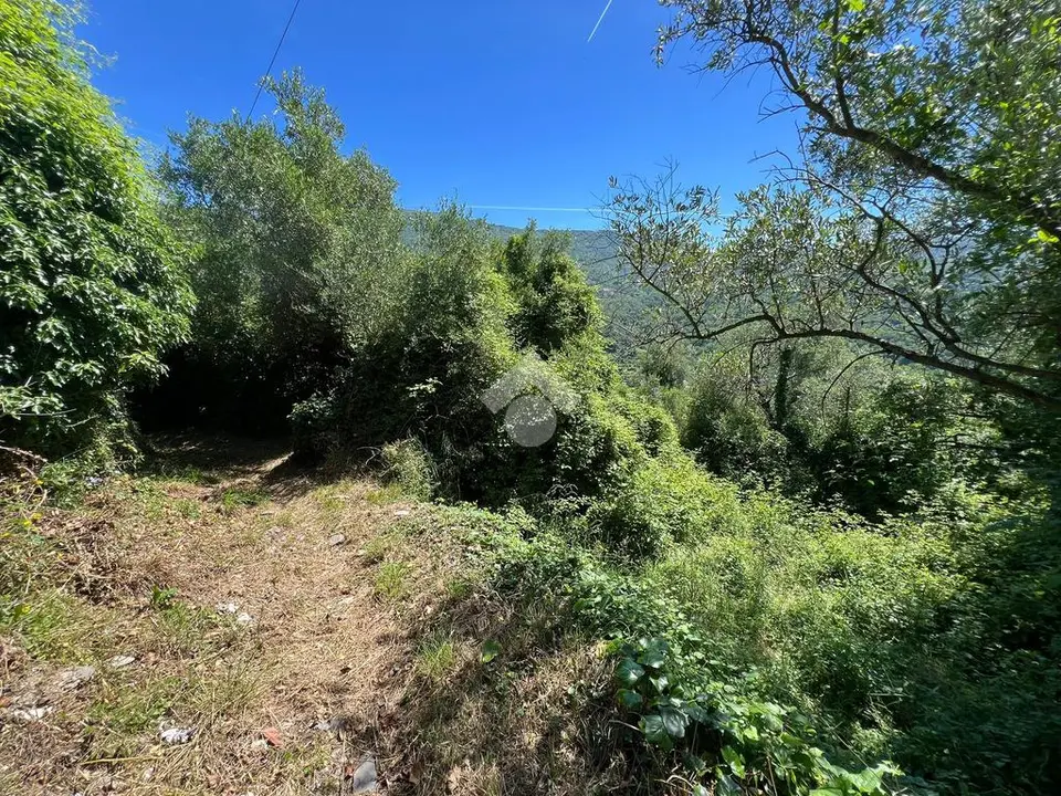 Ter. agricolo in vendita a Lavagna