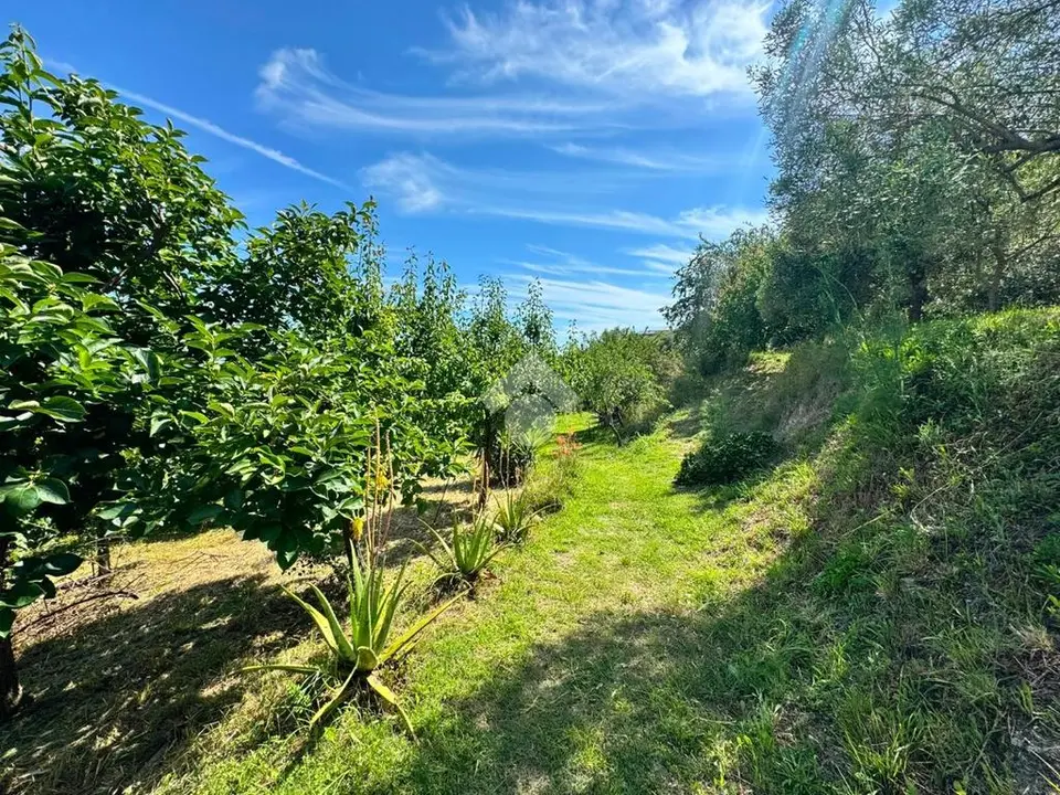 Ter. agricolo in vendita a Genova