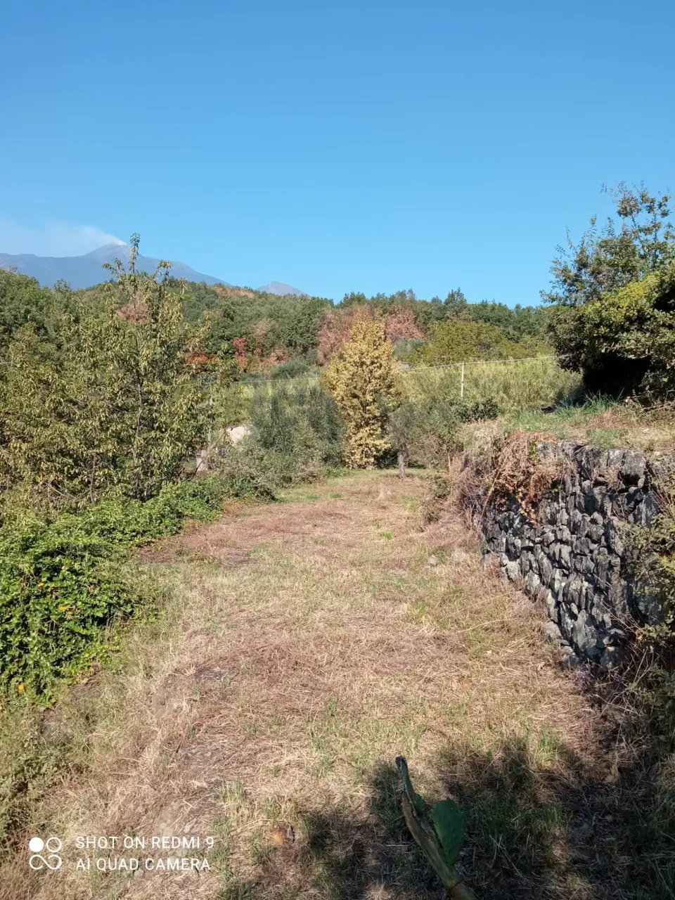 Terreno in Vendita a Giarre